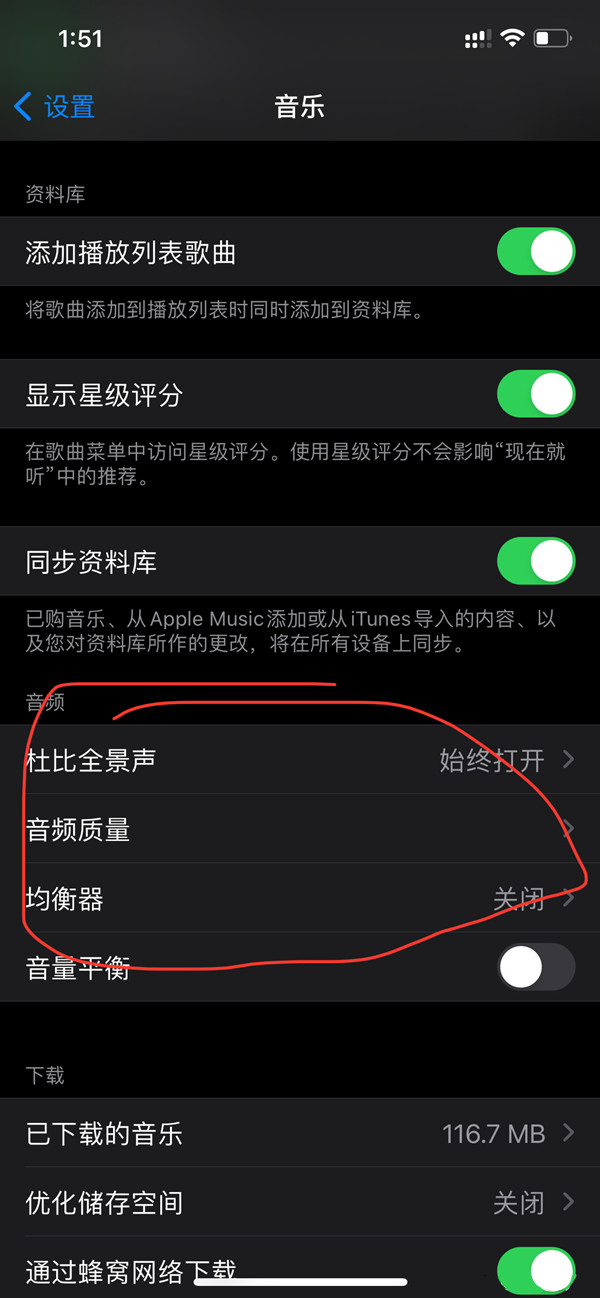 iphone手机如何开启杜比音效 苹果手机一键启用杜比音效方法分享