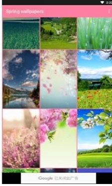 春季壁纸app下载_春季壁纸免费版下载v3.4.2 安卓版 运行截图3