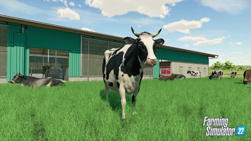 模拟农场22下载_模拟农场22Farming Simulator 22中文版下载 运行截图5