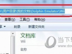dolphin模拟器无法保存怎么办 一个操作即可