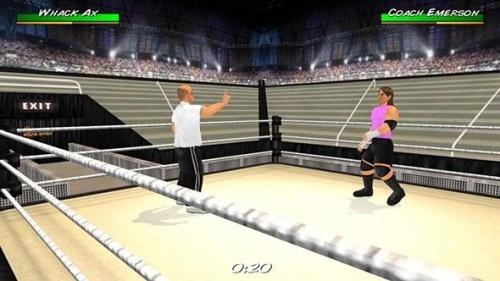 摔跤革命3D游戏最新版下载-摔跤革命3D官方安卓版下载v1.620