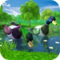 鸭子丛林模拟器游戏下载_鸭子丛林模拟器手游最新版下载v1.6 安卓版