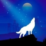 光狼的冒险游戏下载_光狼的冒险手游安卓版下载v1.0 安卓版