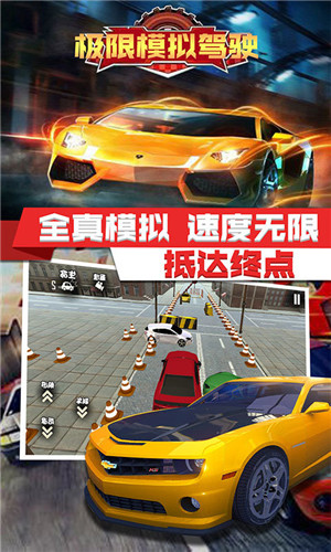 极限模拟驾驶游戏下载_极限模拟驾驶手游最新版下载v1.0 安卓版 运行截图2