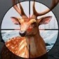 动物猎人狩猎冲突游戏下载-动物猎人狩猎冲突安卓版下载