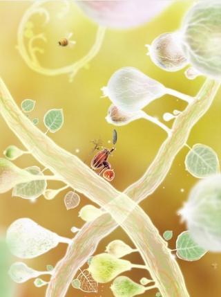 植物精灵中文版下载-植物精灵(Botanicula)游戏安卓版下载v1.0.62手机版 运行截图2