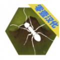 最后的蚂蚁汉化版下载_最后的蚂蚁中文破解版v2.43最新版
