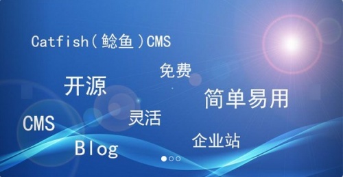 Catfish鲶鱼CMS软件下载_Catfish鲶鱼CMS电脑版 v5.5.0 运行截图1