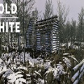 The Cold White