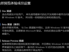 windows11预览体验成员设置选哪个 win11预览体验成员设置选项介绍