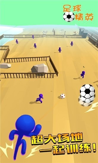 足球精英游戏免费版下载-足球精英免费版安卓下载 运行截图2