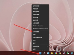 Windows11怎么看显卡温度 Win11查显卡温度教程