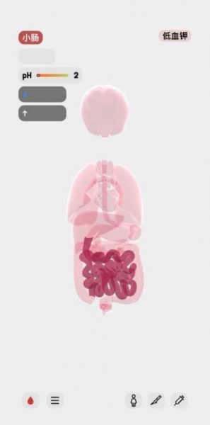 生命人体模拟器游戏下载_生命人体模拟器手游最新版下载v1.0 安卓版 运行截图2