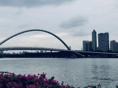 广州海心桥如何预约 详细预约流程介绍