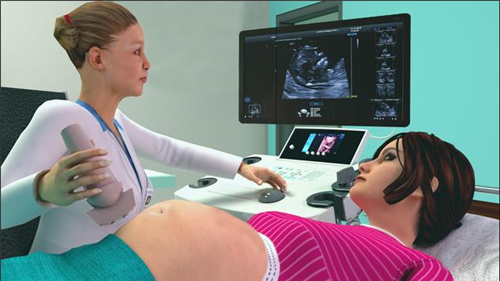 孕妇模拟器中文版下载-孕妇模拟器 运行截图1