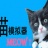 猫模拟器游戏-猫模拟器中文版预约