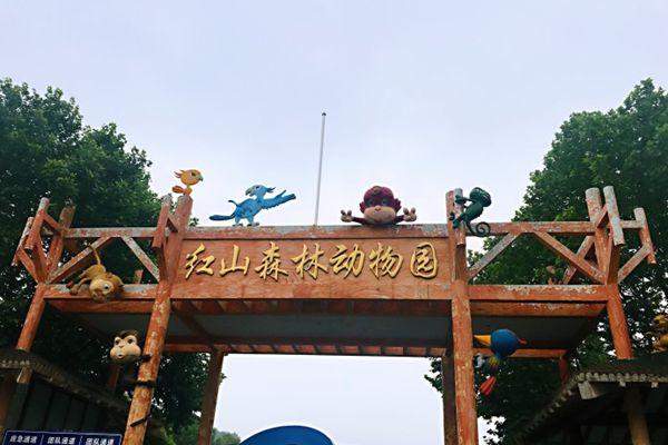 南京旅游去哪带小孩最好玩 南京最适合亲子游的景点推荐2021