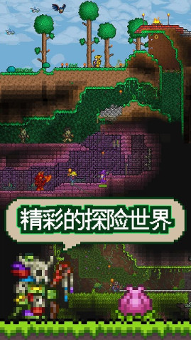 泰拉瑞亚无限道具破解版下载_泰拉瑞亚无限金币版 运行截图1