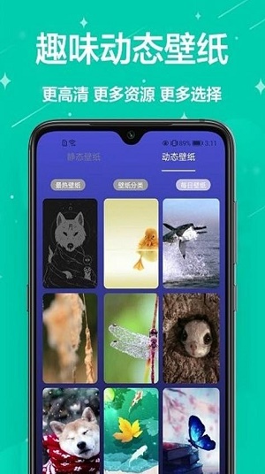 主题君APP下载_主题君最新版下载v1.0.0 安卓版 运行截图3