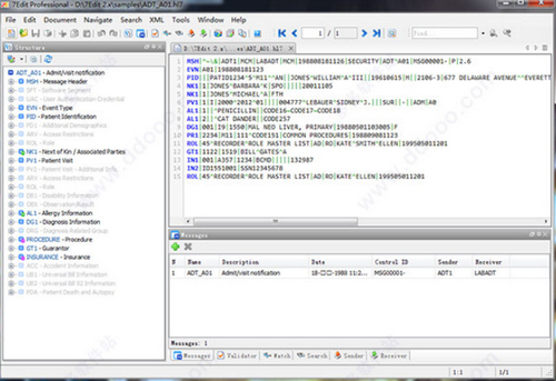 7Edit(HL7协议辅助软件)软件下载_7Edit(HL7协议辅助软件) v2.6.6 运行截图1