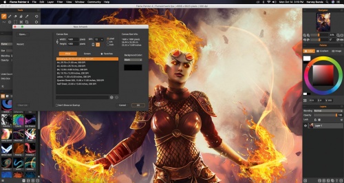 flamepainter2.5汉化下载_flamepainter2.5汉化免费最新版v4.1.0 运行截图1