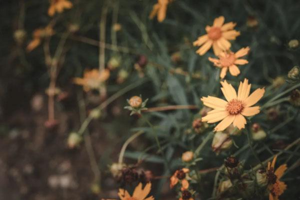 南宁教师节有哪些景区有活动 2021南宁教师节景区活动介绍