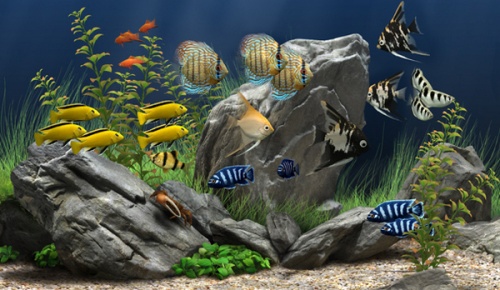 Dream Aquarium（梦幻水族馆屏保）软件下载_Dream Aquarium（梦幻水族馆屏保） v1.0.70 运行截图1