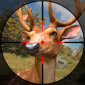 狂野射击猎人下载_狂野射击猎人游戏安卓版下载v1.0.1 安卓版