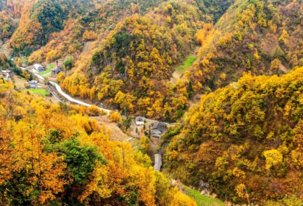 重庆周边旅游去哪最好玩 重庆周边最佳旅游路线攻略