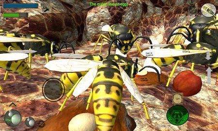 大黄蜂进化史游戏下载_大黄蜂进化史手游安卓版下载v1.0.2 安卓版 运行截图3