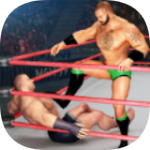 超级巨星摔跤格斗游戏下载-超级巨星摔跤格斗官方免费版下载v1.1.3 安卓版