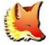 Foxtable狐表