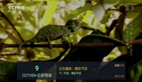 坚果HKTV安卓版下载-坚果HKTV免费版本下载9.1.3 运行截图1