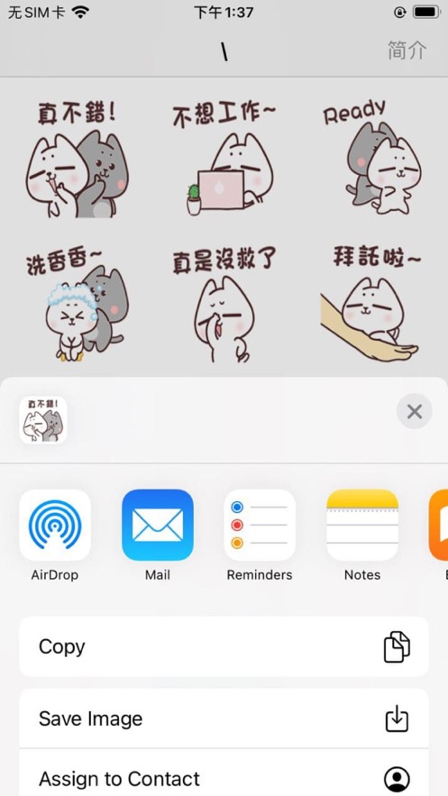 灰灰和白白app下载_灰灰和白白2021版下载v1.0 安卓版 运行截图2