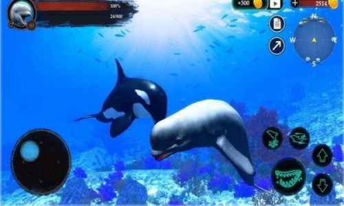 海洋大捕杀游戏下载-海洋大捕杀官方免费版下载v1.0.1 安卓版