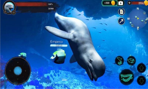 海洋大捕杀游戏下载-海洋大捕杀官方免费版下载v1.0.1 安卓版