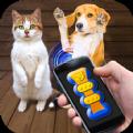 猫猫狗狗翻译器app下载_猫猫狗狗翻译器中文版下载v1.1 安卓版