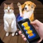 猫猫狗狗翻译器app下载_猫猫狗狗翻译器中文版下载v1.1 安卓版