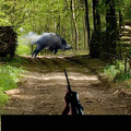 狩猎野猪游戏下载-狩猎野猪最新版安卓下载