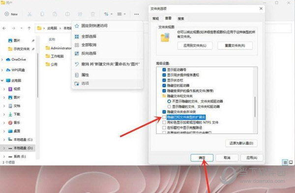 Windows11怎么显示文件后缀名