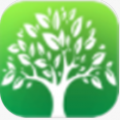 上策森林安卓版下载-上策森林APP移动客户端下载2.4.0