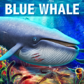 深海蓝鲸模拟中文汉化版
