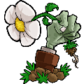 植物大战僵尸花园战争下载_植物大战僵尸花园战争游戏安卓版下载v2.1 安卓版