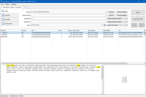 FileSeek 文件搜索工具软件下载_FileSeek 文件搜索工具 v6.6 运行截图1