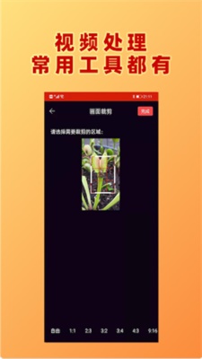 HC视频加文字app下载_HC视频加文字安卓版下载v1.0.3 安卓版 运行截图3