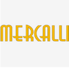 视频稳定器 Mercalli