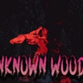 未知森林（Unknown Woods）