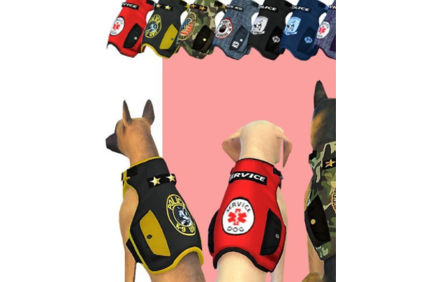 模拟人生4狗狗的皮夹克MOD下载-模拟人生4狗狗的皮夹克MOD电脑版v1.80下载