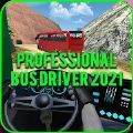 专业巴士司机2021官方版下载_专业巴士司机2021官方版手游安卓版下载v1.0.1 安卓版