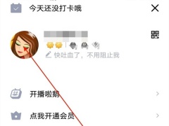 qq身份证勋章在哪里_怎么看[多图]